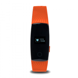 Fitband
